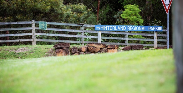 Gold Coast Regional Hinterland Park (4km Cross Country)