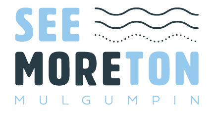 Snorkel Moreton Island & Save 20% with See Moreton
